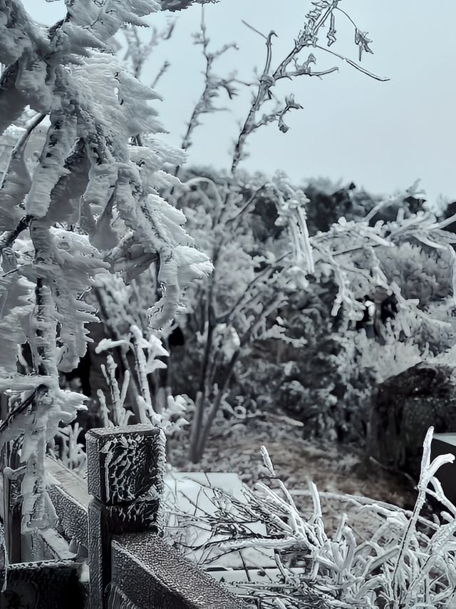 聖雪寒風下的玉女峰也太美了，一定要來看看