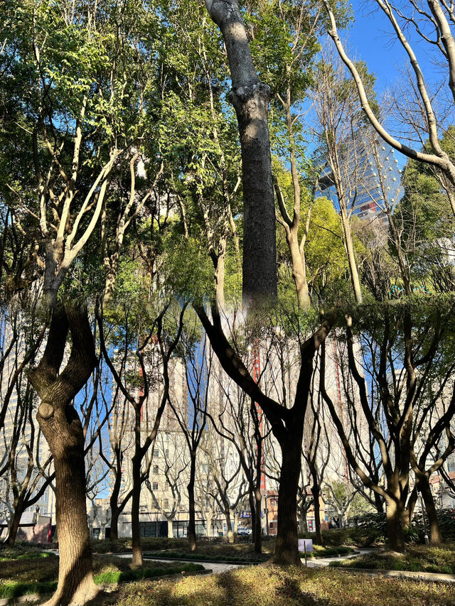 上海周邊，隨手拍｜徐匯版莫奈花園