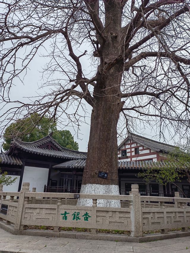 常熟標誌建築——方塔園