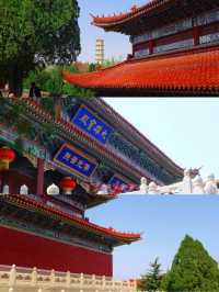 南山大佛親測詳遊攻略，靜心祈福好運常在