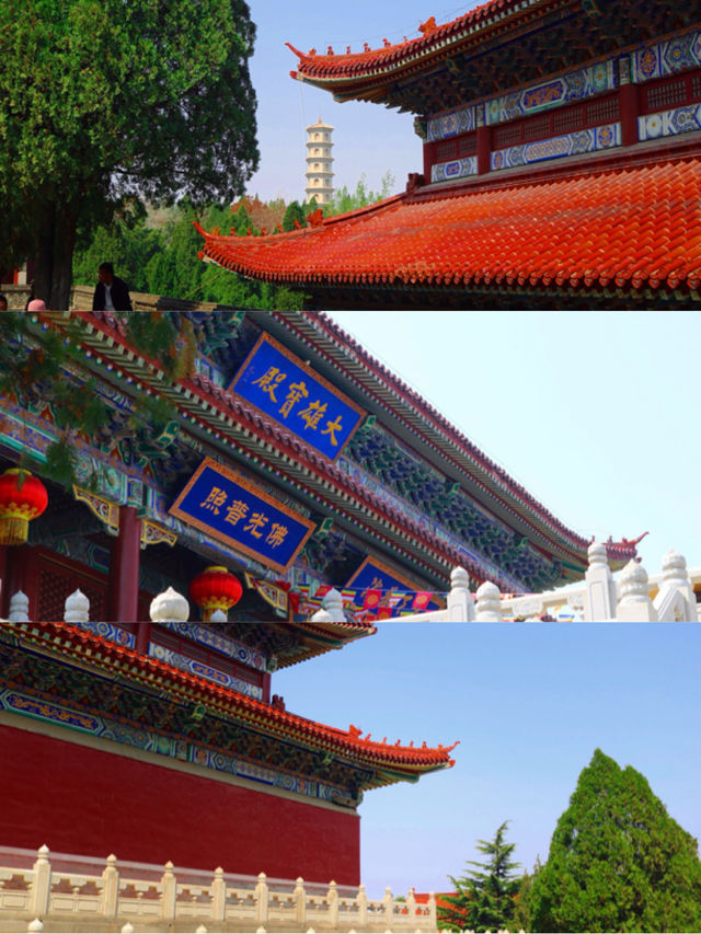 南山大佛親測詳遊攻略，靜心祈福好運常在