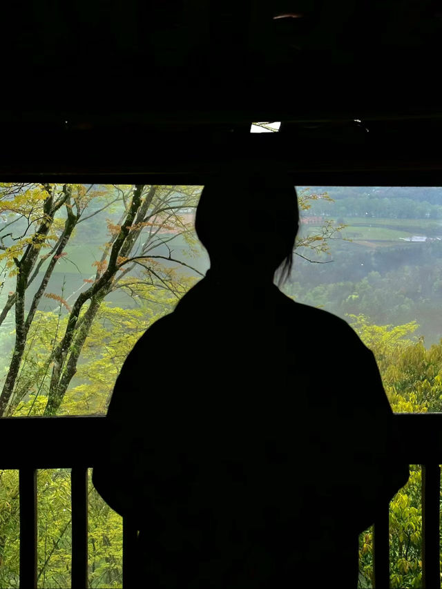 富士旅遊｜武夷山遊玩的意外之喜