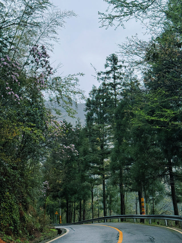 長沙出發2小時，去見山見水見自己