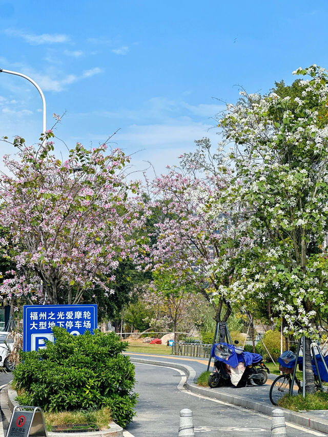 我找到了福州春和景明的地點