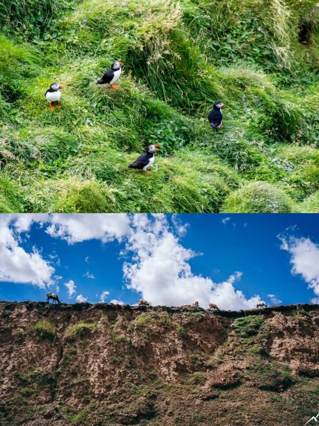 甘南秘境，美仁大草原