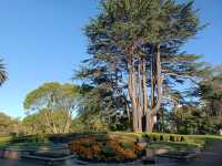 阿爾伯特王子公園