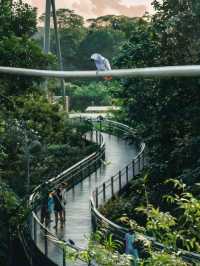 Singapore Bird Park is Breathtaking😍❤️