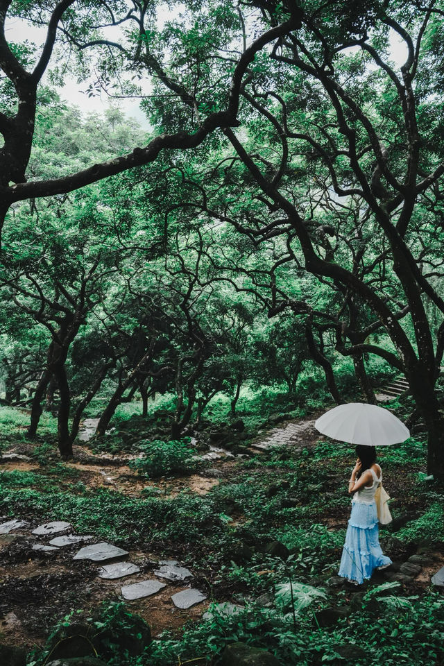 廣州夏日拍照·在廣州發現塞爾達森林，太出片啦！！