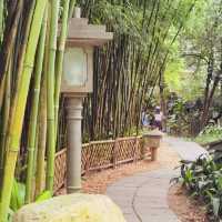 打卡廣州蘭圃公園
