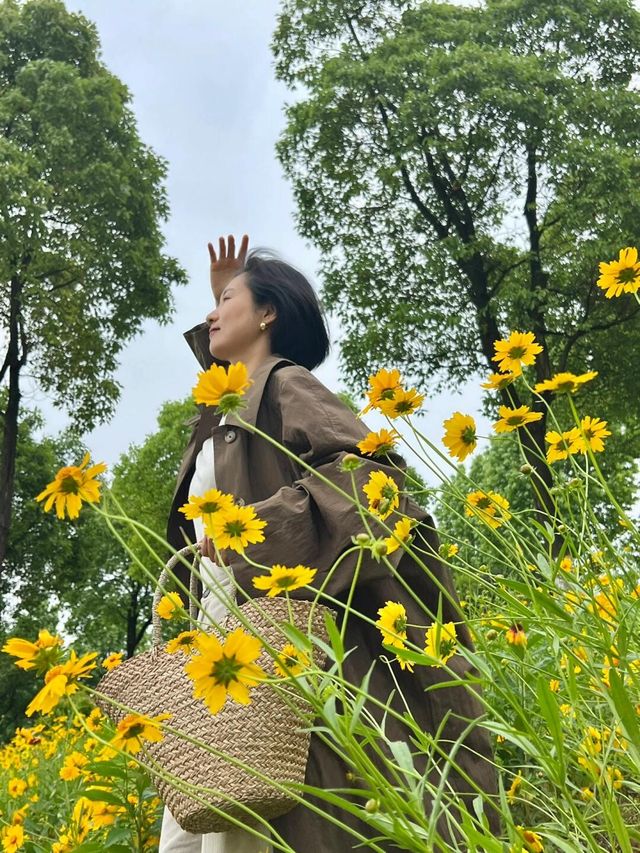 長沙松雅湖偶遇故事裡的小黃花