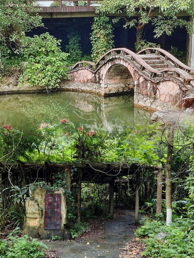 廣西藥用植物園:藥香四溢的綠色寶庫 廣西藥用植物園:藥香四溢的綠色寶庫