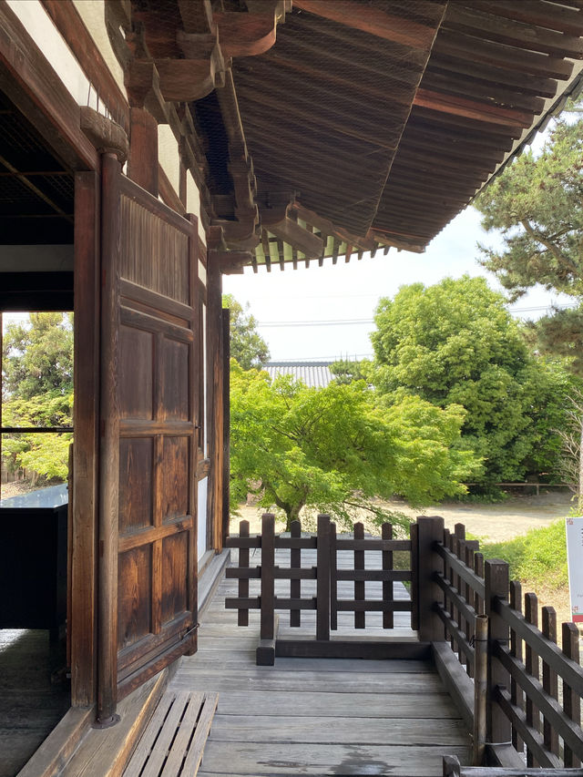 水稻田間，遙看藥師寺