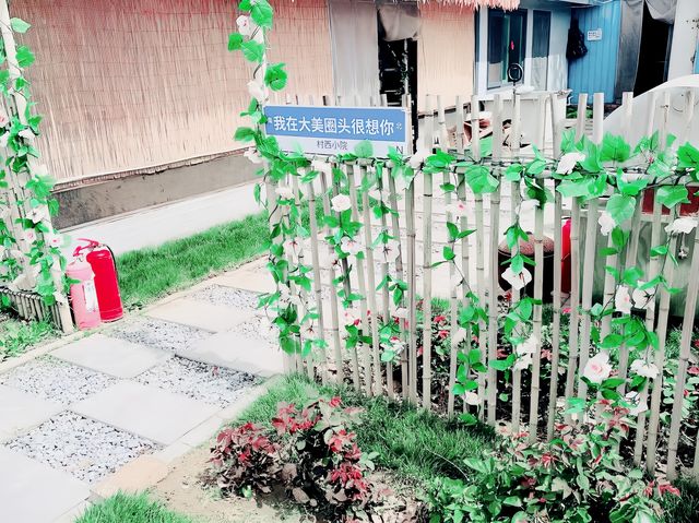 保定白洋淀村西小院，龍舟船餐298包6個特色菜2小時遊玩！