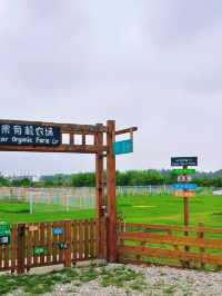 更適合城市寶寶體質的田園村莊