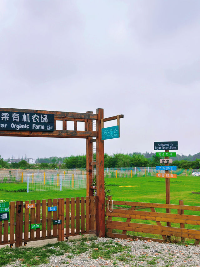 更適合城市寶寶體質的田園村莊