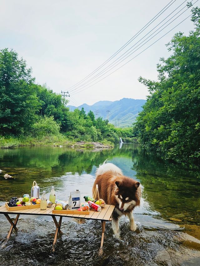 無溯溪，不夏天！安吉的夏天是屬於小溪的！