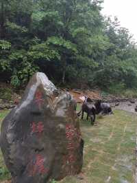 新昌鹽幫古道