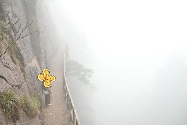 上海至黃山兩日遊路線