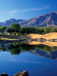 🌴✨ La Quinta's Luxe Lodgings: Cali's Cozy Getaway 🏨🌵