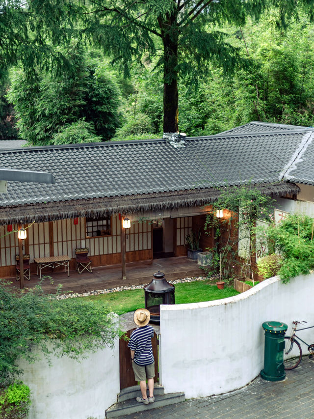 武夷山清涼去處|夏日進山探幽烹茶，漫遊茶谷