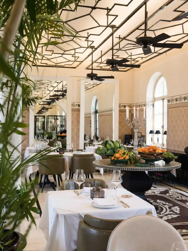 🌟 Tel Aviv's Hidden Gem: Luxe Drisco Hotel Stay 🌟