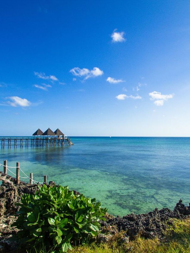 🌴 Zanzibar's Hidden Gem: Beachfront Bliss & Spice 🍹