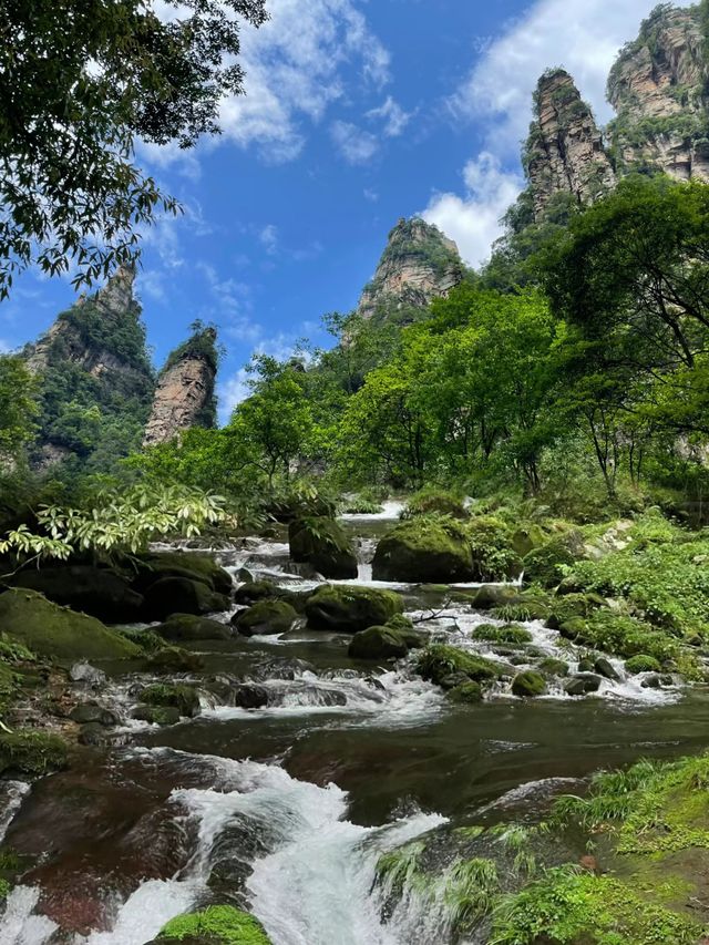 張家界金鞭溪——大自然的天然氧吧
