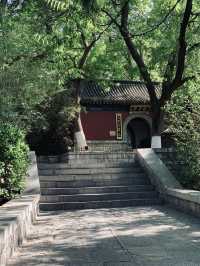 來過 打卡好去處