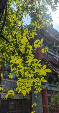 【古城深處，正昇園裡的悠然時光】