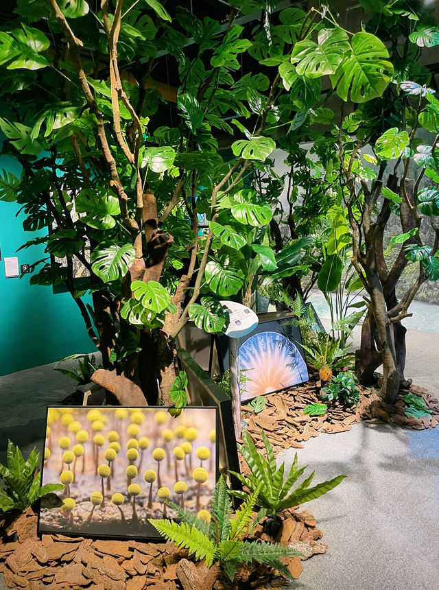 瀋陽看展中國國家地理發現世界之美
