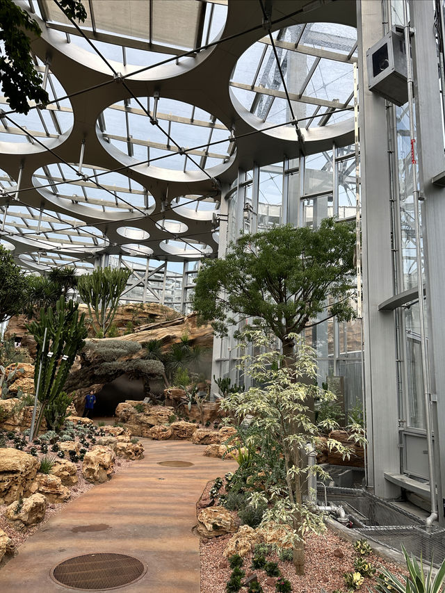 上海遛娃新去處｜上海溫室花園太美了吧