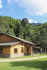 武功山歸來已老實 還得是被山野治癒