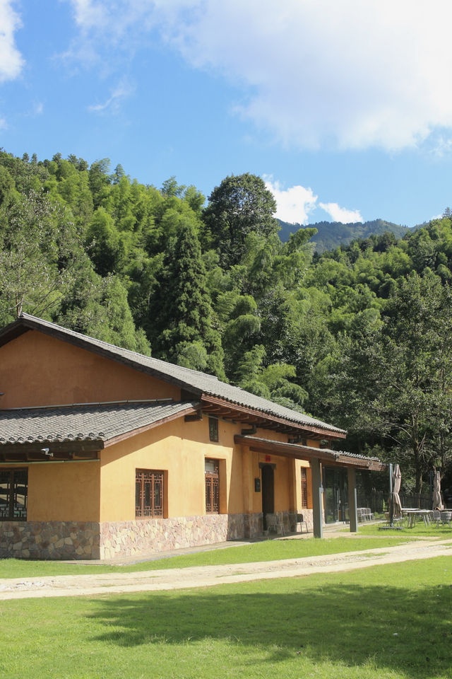 武功山歸來已老實 還得是被山野治癒