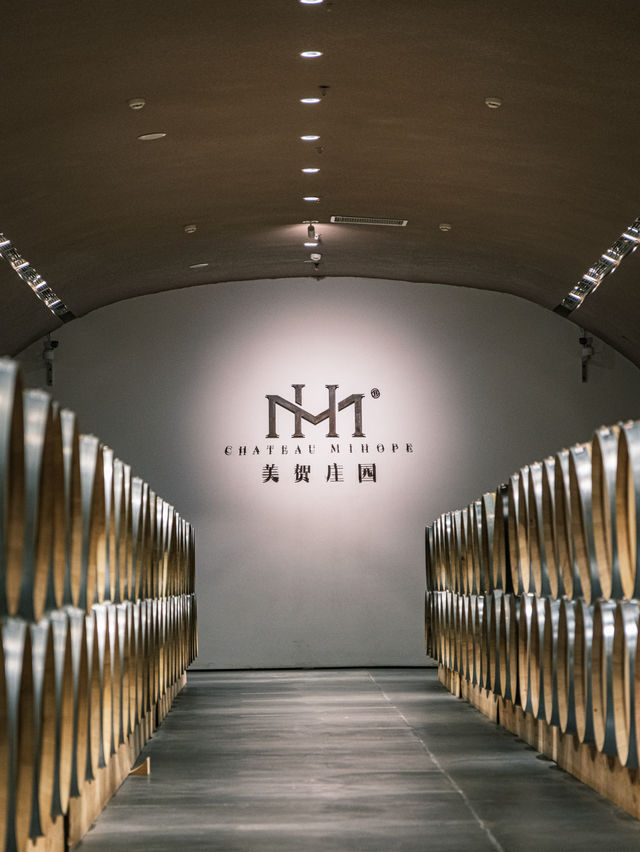 朋友們都問個不停,以為我出國了。