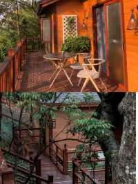 春遊~信宜雙合村 入住花見酒店。