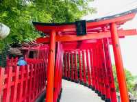 日本佐賀 | 一場邂逅自然與歷史的夢幻之旅。