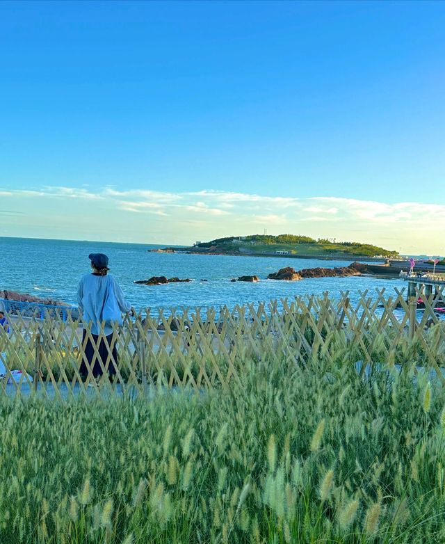 青島。 青島。