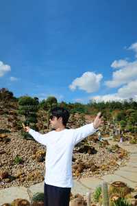國慶遊太平湖｜邂逅多彩之旅。