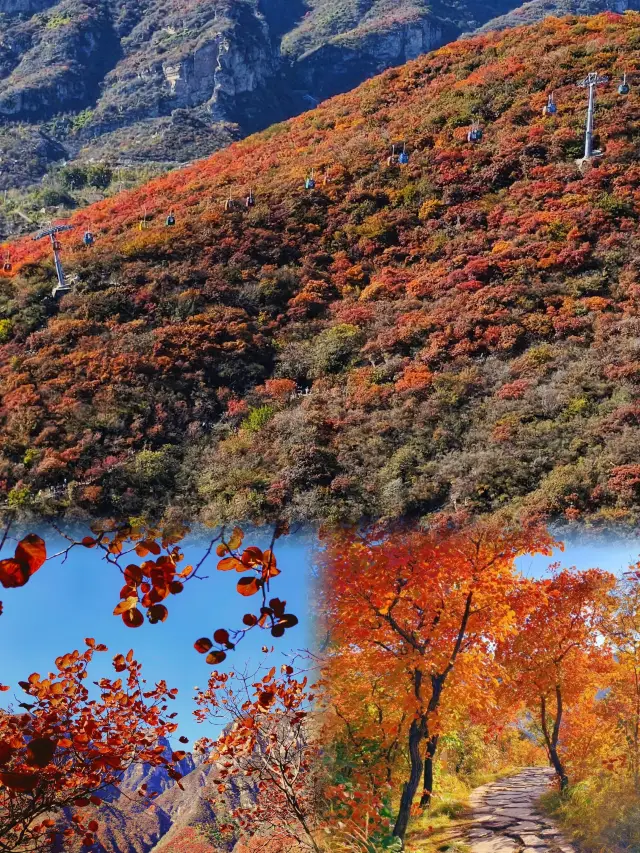 The Best Place to See Fall Leaves in Beijing - Pofengling. 