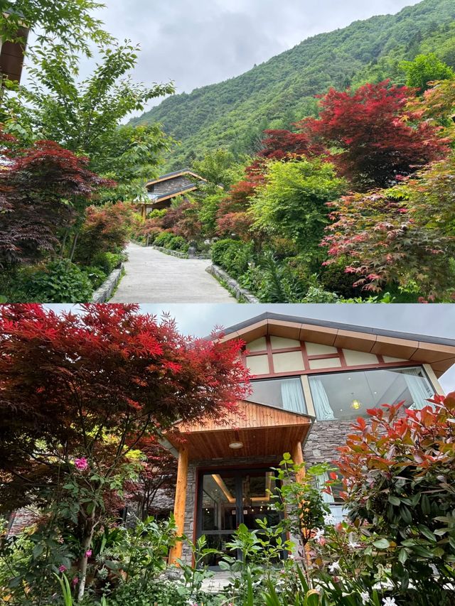 成都鄰近地區|臥龍也有不錯的私人溫泉民宿了。