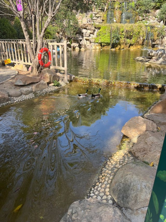 河南漯河神州鳥園｜去了不後悔的鳥園。