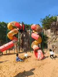 可以衝嘉北郊野公園的稻田（附保姆級攻略）。
