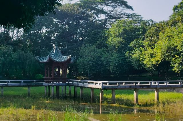 東莞旗峰公園秋日漫步一定要來這地方。