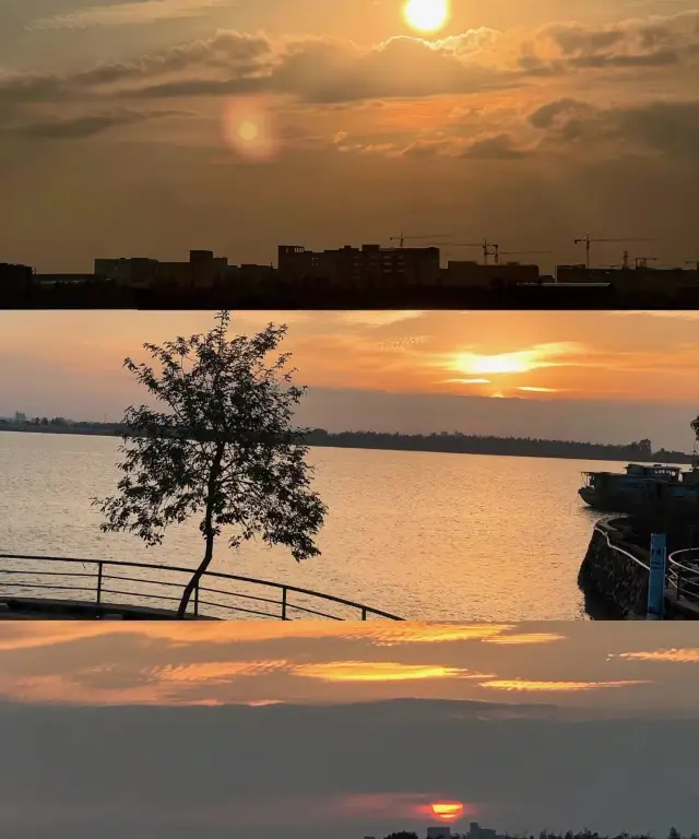 중산 낙우삼｜등산 없이 즐기는 시캉웨이.