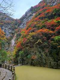 西狹頌紅葉盛景：秋韻中的歷史低吟