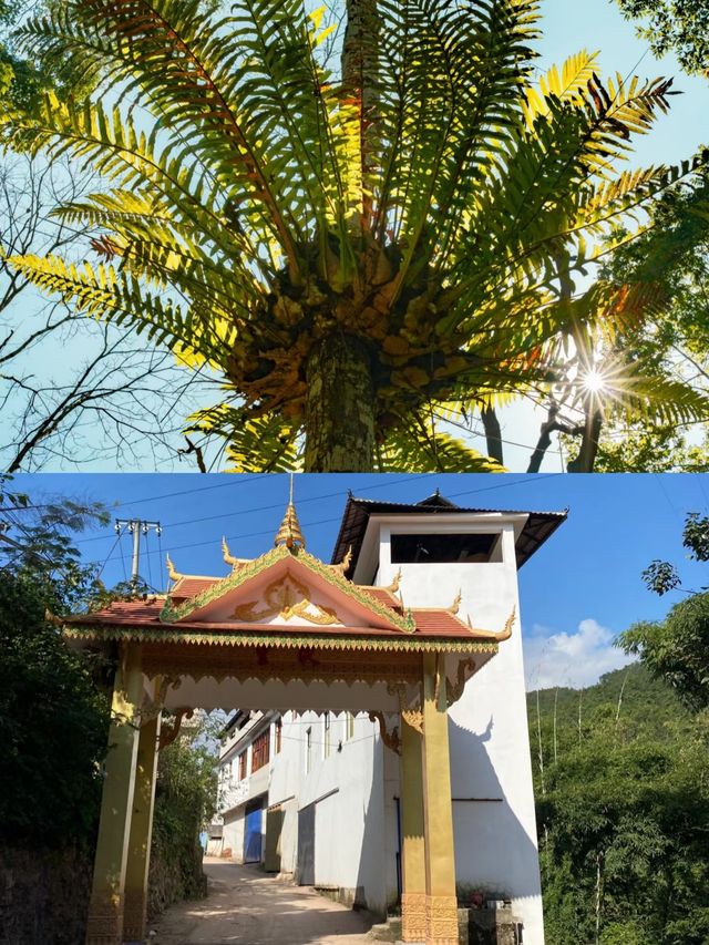西盟比阿勒泰更美麗的地方。