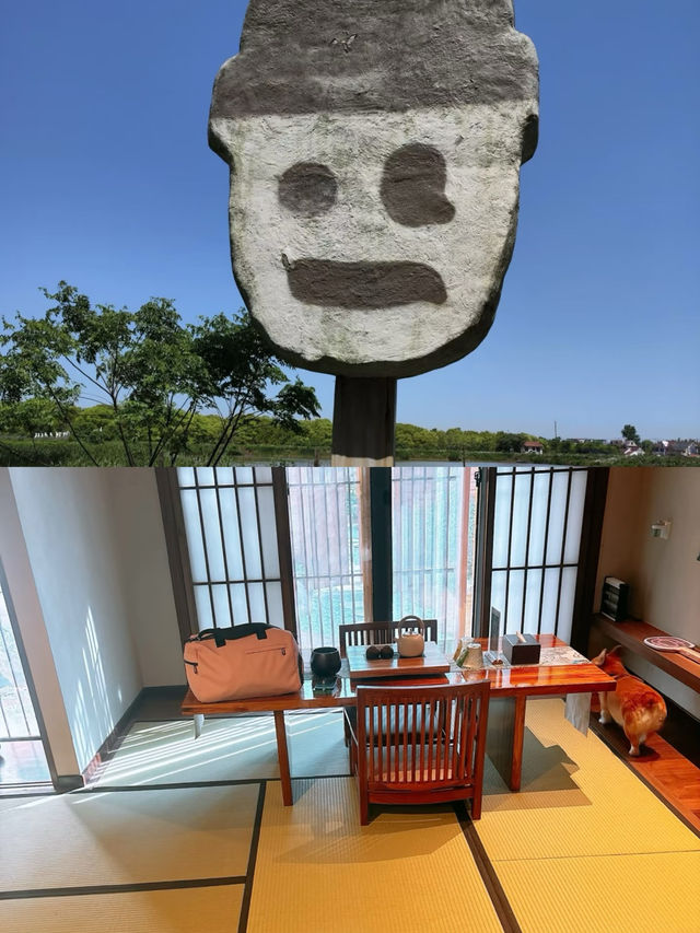 上海！崇明島！寵物友善！可以泡湯！太適合冬天了。