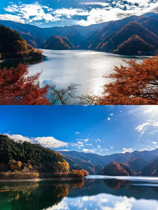 Lá mùa thu ở Tokyo Okutama ‖ Hướng dẫn tránh những cạm bẫy khi đến bờ hồ ngắm mùa thu.