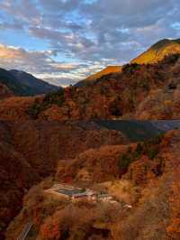 東京奧多摩紅葉‖湖畔賞秋旅遊打卡避坑攻略。