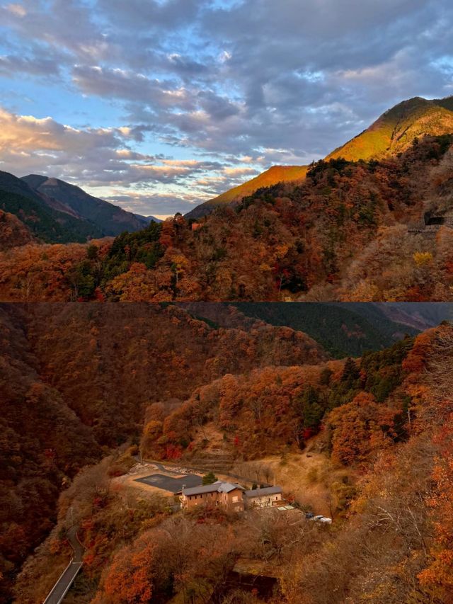 東京奧多摩紅葉‖湖畔賞秋旅遊打卡避坑攻略。